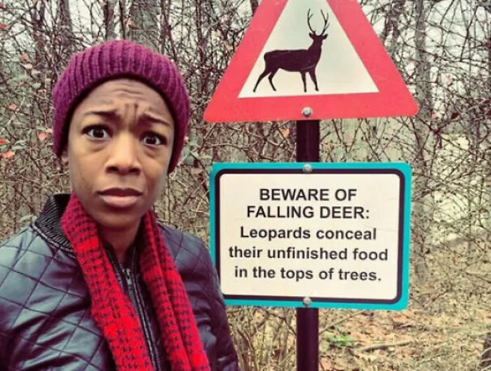 Beware Of Falling Deer. (X-Post R/Funny)