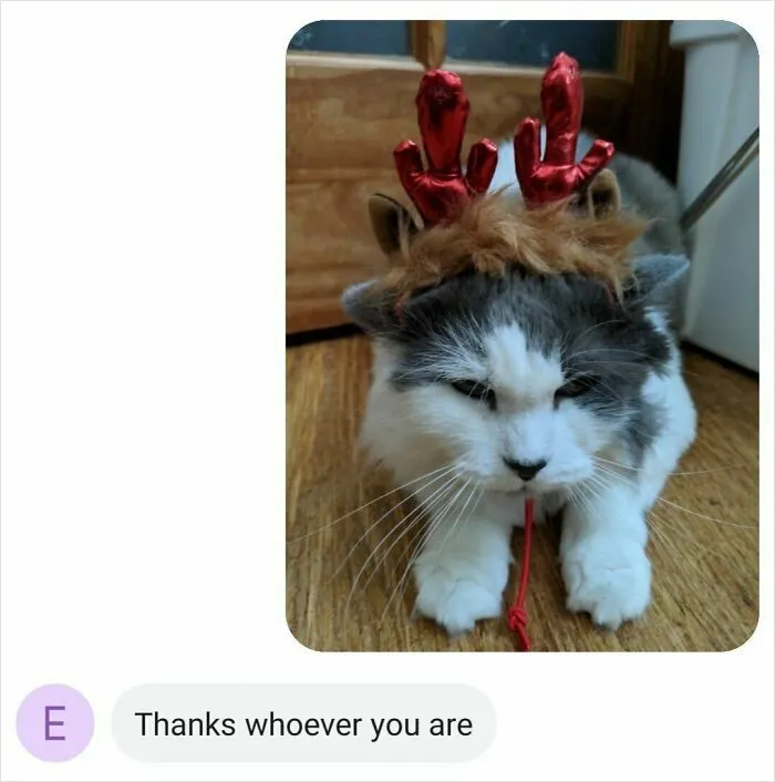 I Sent My Grandfather A Picture Of Our Cat Dressed As A Reindeer. Turns Out He Didn't Have My Number In His Contacts