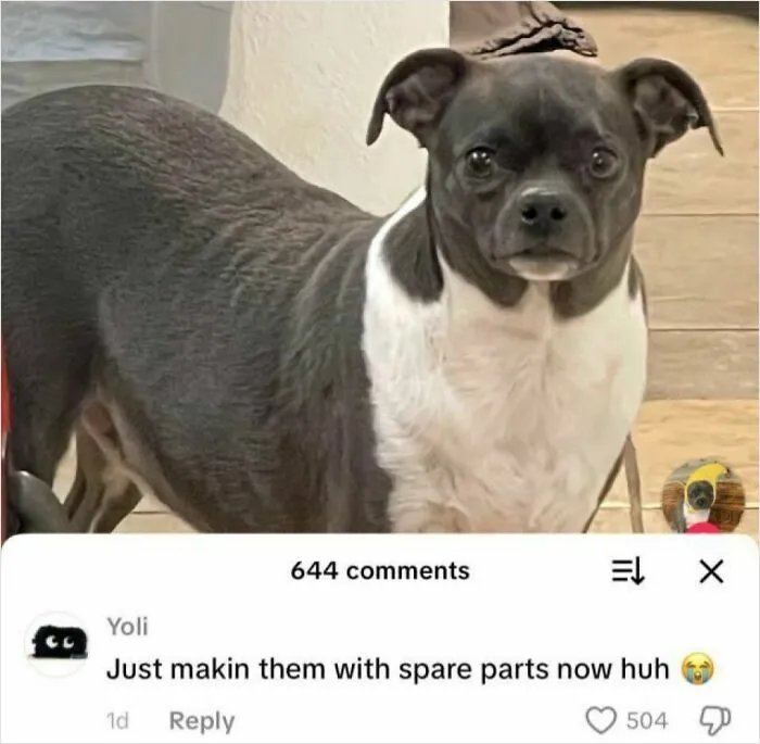 93 Edgy And Hilarious Memes That Might Make Your Day Way Better