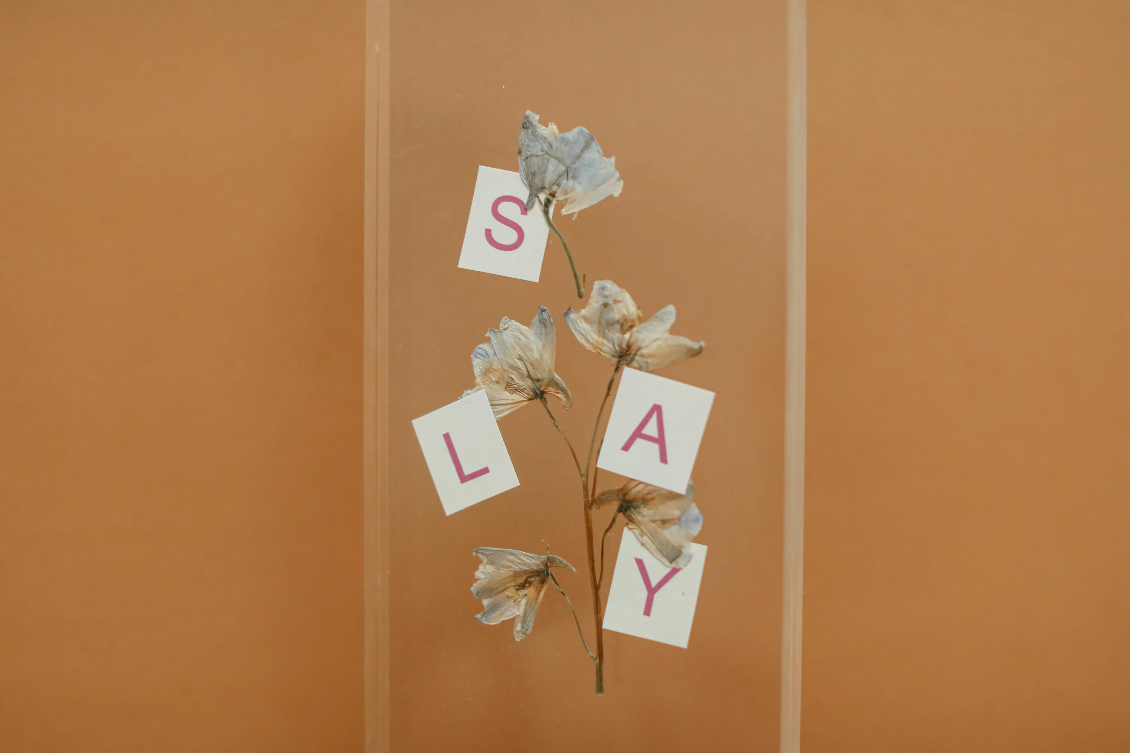 Faded flowers with letters spelling SLAY on a brown background representing narcissism scale and self-expression.