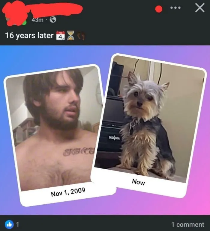 My Dad Sharing A Memory Of Me