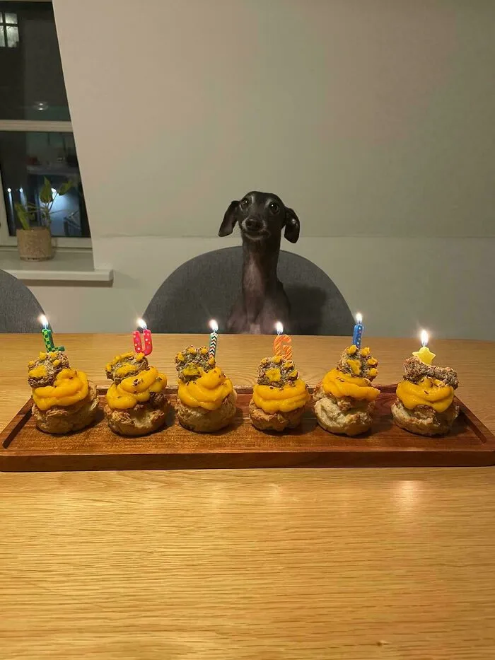 Luigi's 6th Birthday