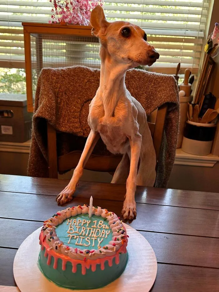 Celebrating This Little Girls 18th Birthday!