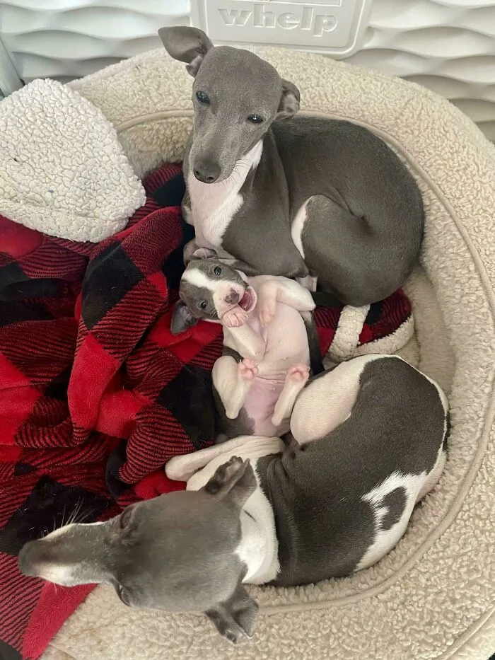 Good Morning Everyone!