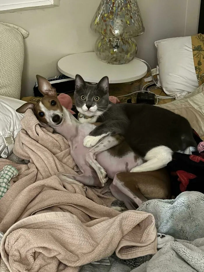 Caught!