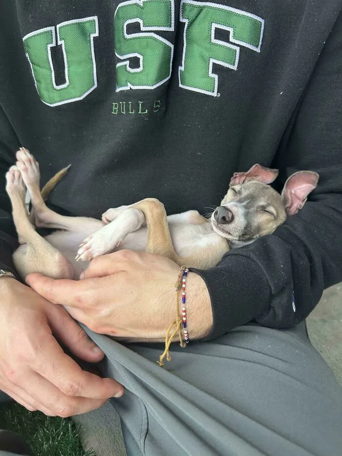 Stella Is Sleeping