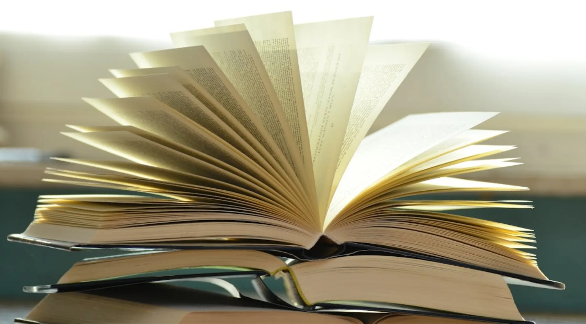Open book with pages fanned out, representing UK citizenship test questions and classic novels by J.R.R. Tolkien.