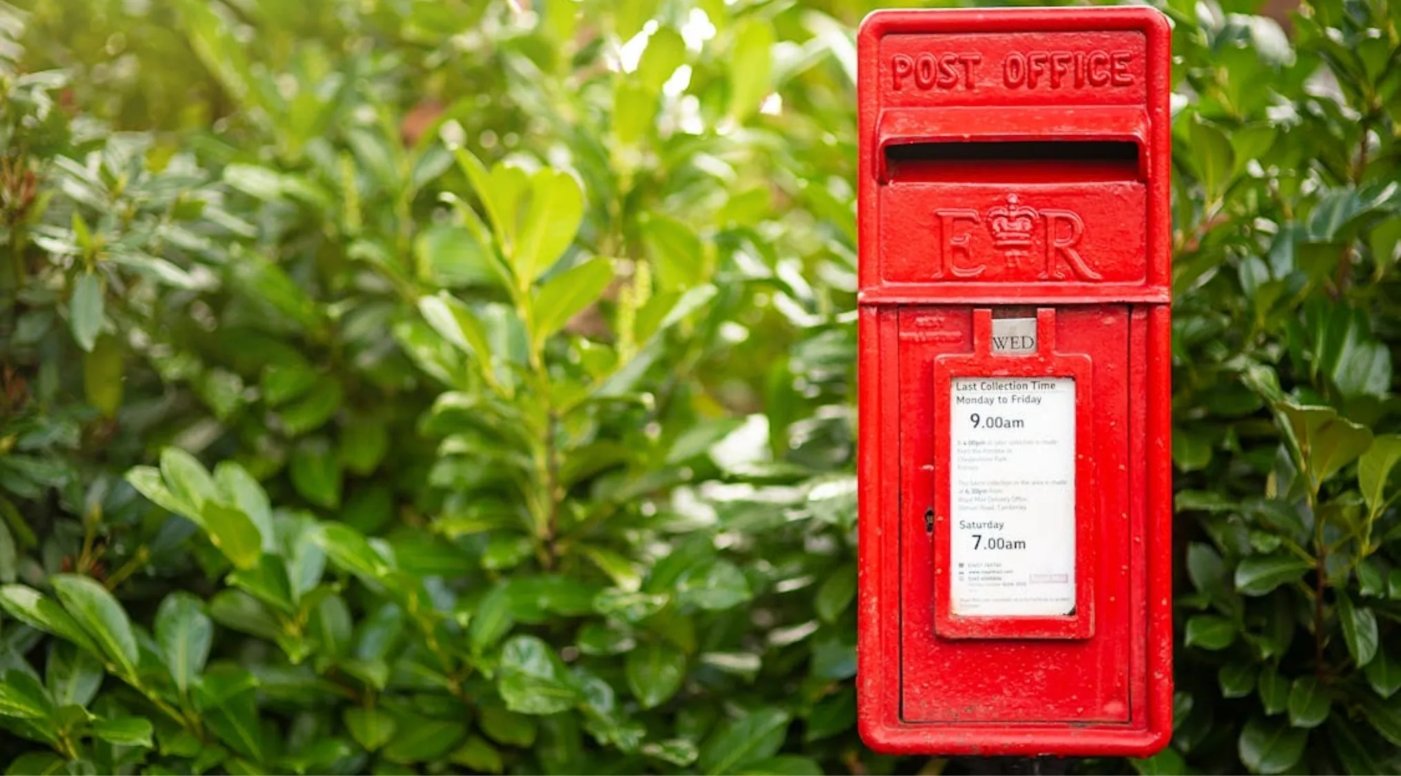 Red UK post box with collection times, surrounded by green foliage, representing contact methods for Members of Parliament.