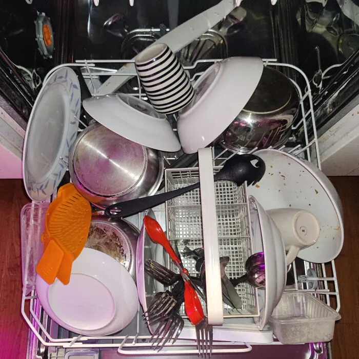 The Way My Girlfriend Fills The Dishwasher