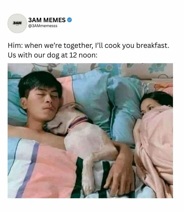 If Your Life Is On Fire And You Try To Convince This Is Fine, These 49 Memes Might Bring You Some Lightness