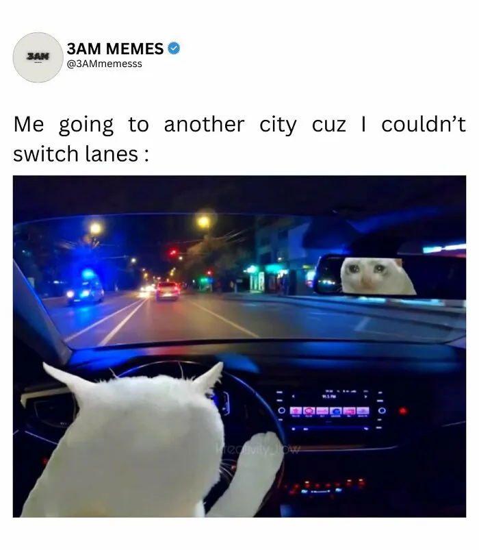 If Your Life Is On Fire And You Try To Convince This Is Fine, These 49 Memes Might Bring You Some Lightness