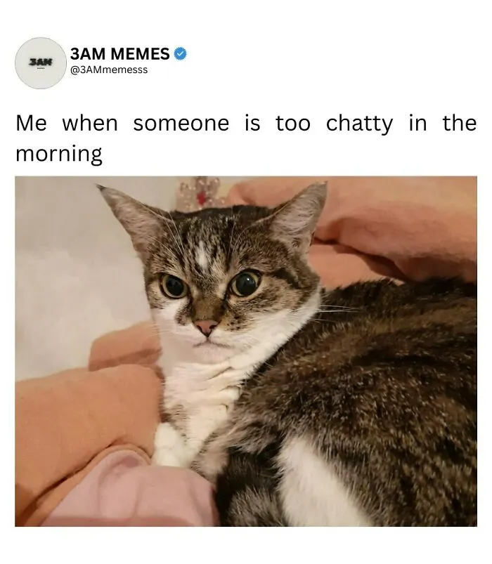 If Your Life Is On Fire And You Try To Convince This Is Fine, These 49 Memes Might Bring You Some Lightness
