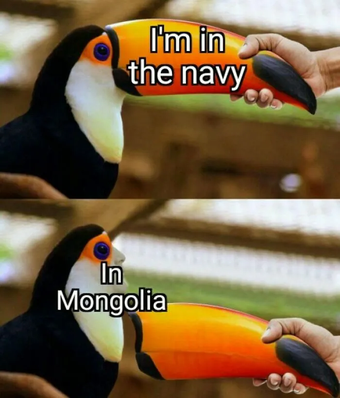 Toucan meme showing a bird's beak labeled navy then revealed as Mongolia, illustrating funny and silly geography memes.