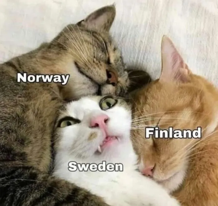 True?