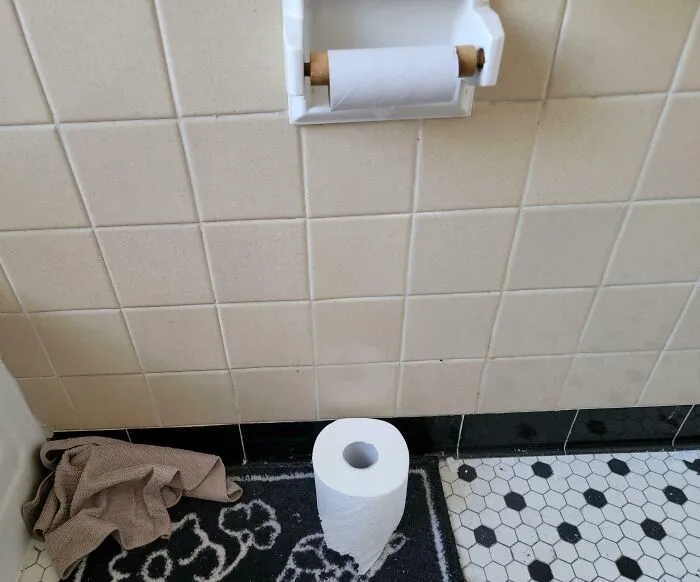 My Girlfriend Uses Up So Much Of My Toilet Paper. And Oh, Doesn't Change It Out