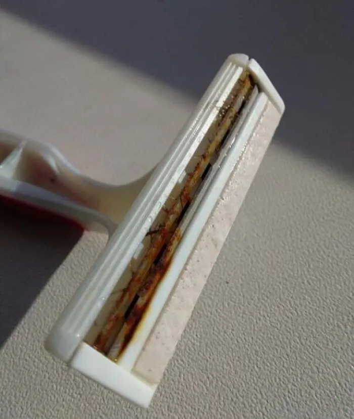 I Present To You: My Girlfriend's Razor