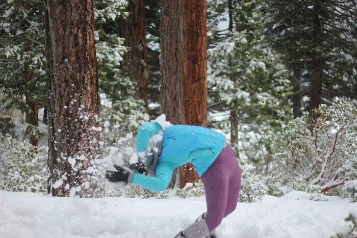 Bolazo de nieve