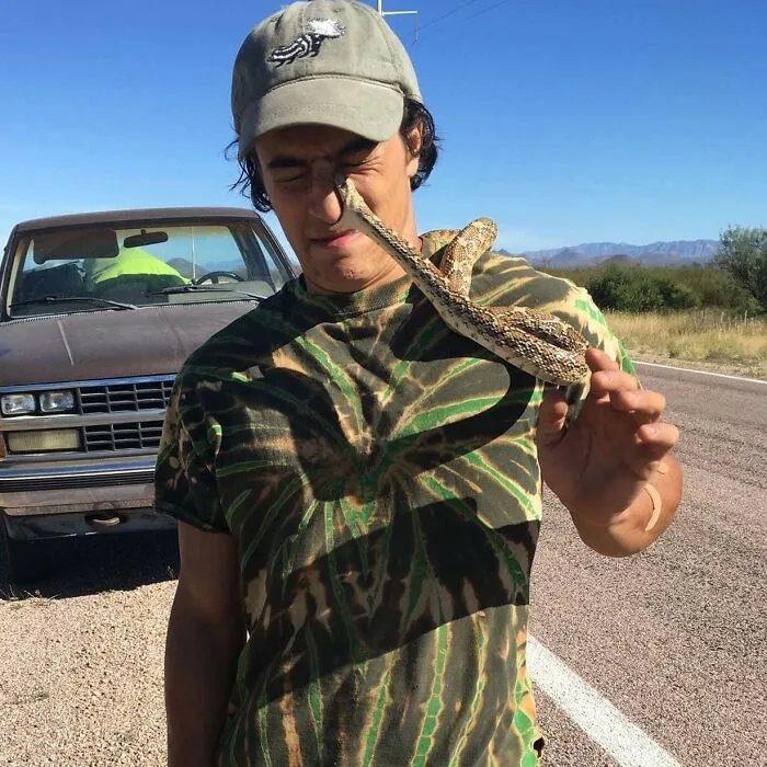 ¿Qué pasaría si me tomo una foto con esta serpiente que encontré en la carretera?