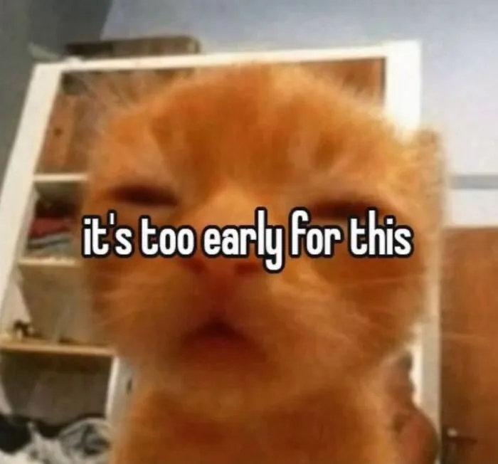 This Page Is Dedicated To Cats With Attitude, And Here Are 65 Of Their Best Moments
