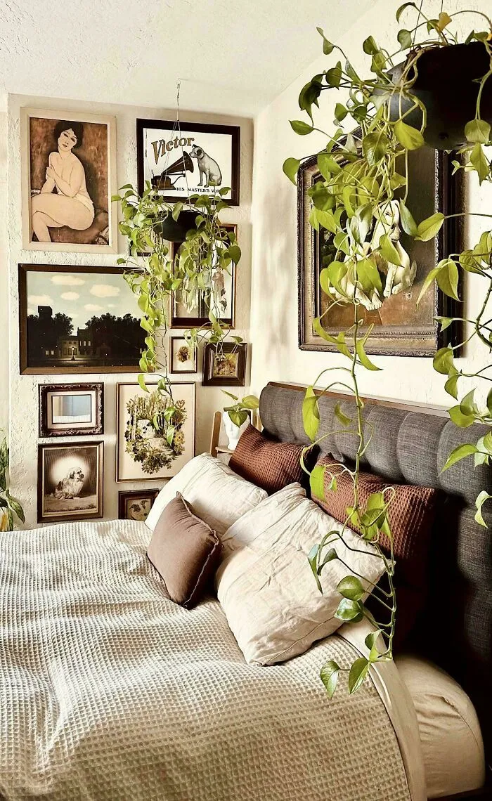 Cozy bedroom with abundant pillows, hanging plants, and an eclectic gallery wall showcasing a more is more home decor style.