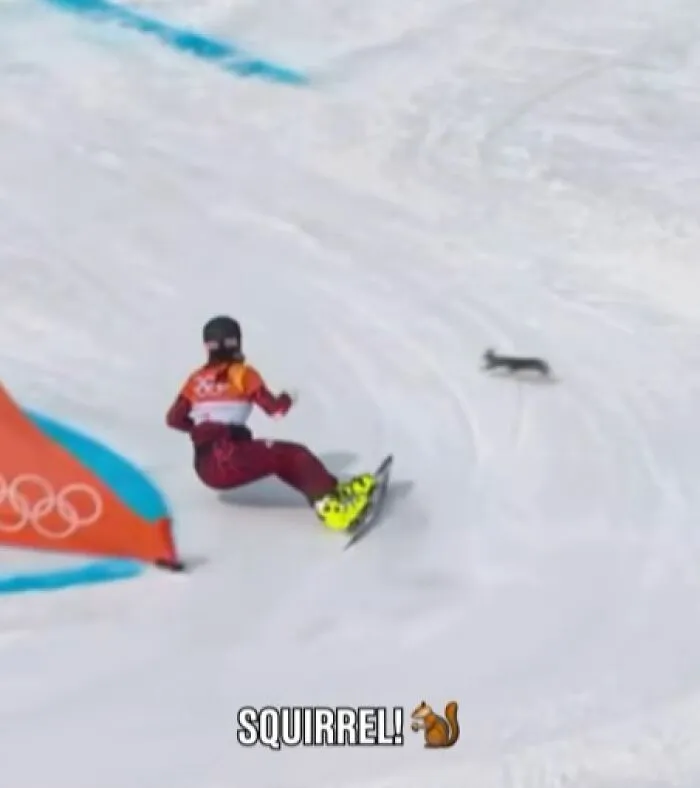 Daniela Ulbing Sidesteps… A Squirrel! And Still Takes The Win In This Parallel Giant Slalom At Pyeongchang 2018