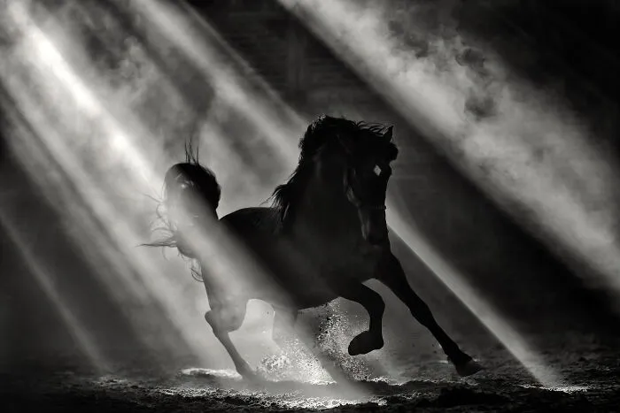 “Horsepower” By Diane Bliessen