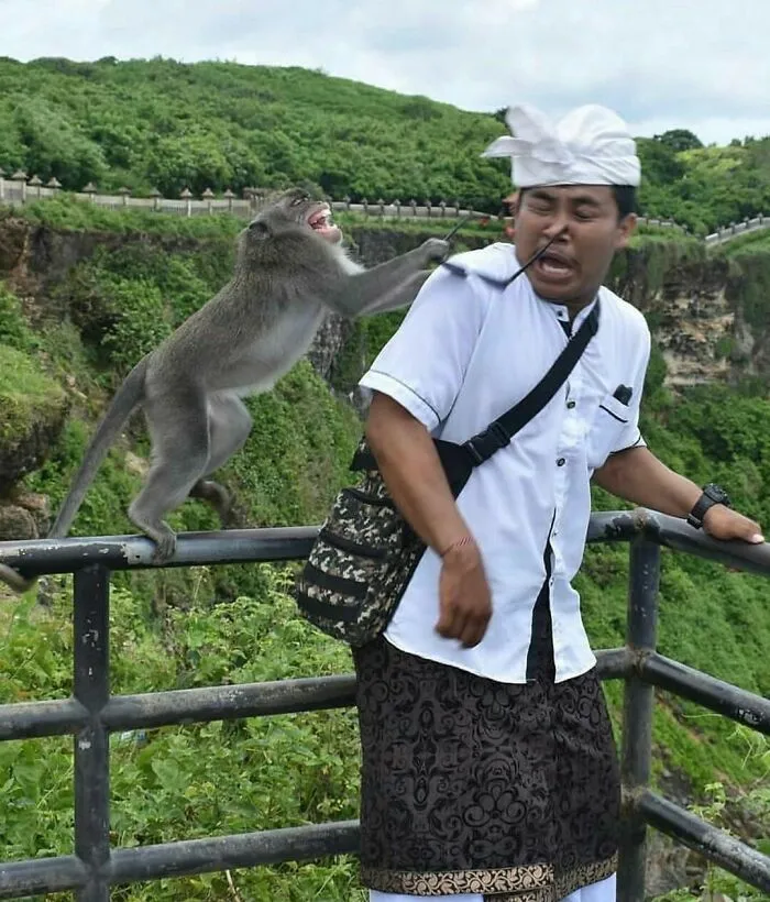 Man surprised as a monkey unexpectedly grabs his glasses, a funny moment captured in an unexpected photo.