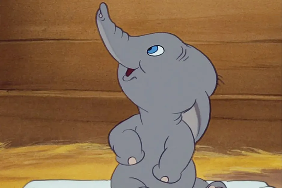 Dumbo the elephant with big ears looking upward, sitting on a white mat inside a wooden barn with hay.