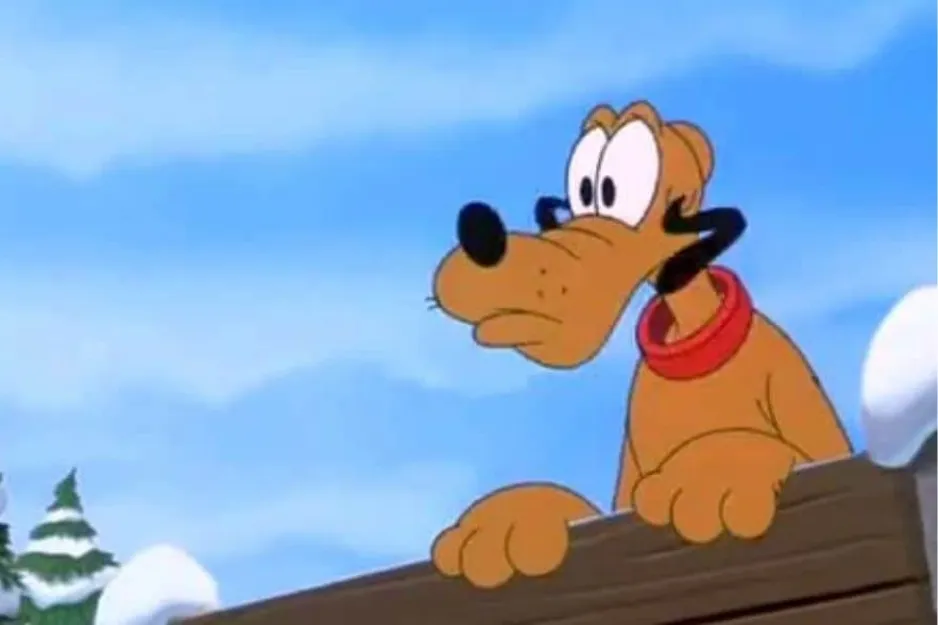 Pluto the dog with big ears and a red collar looking attentively over a snowy fence under a blue sky.