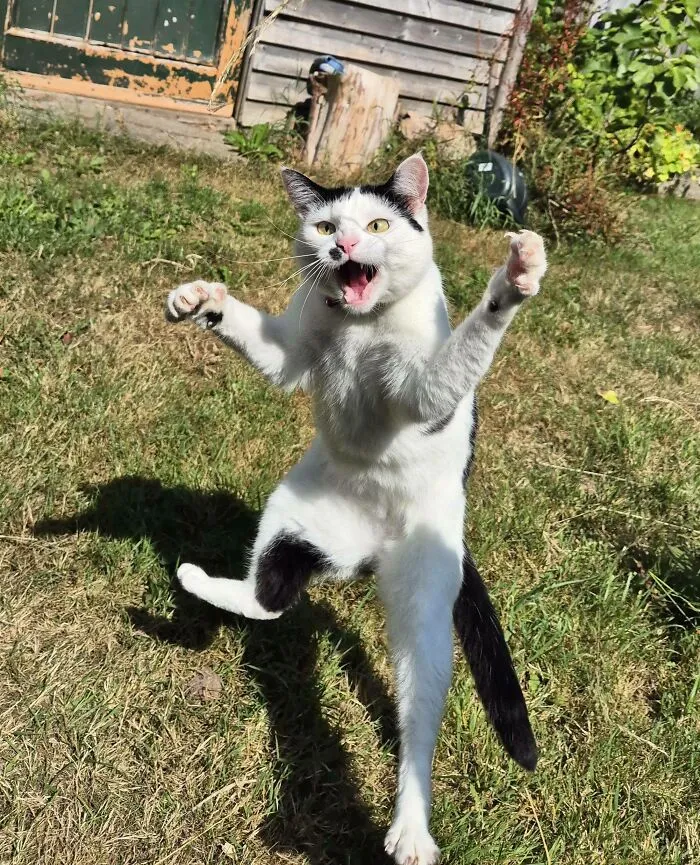 She Is Beauty, She Is Grace