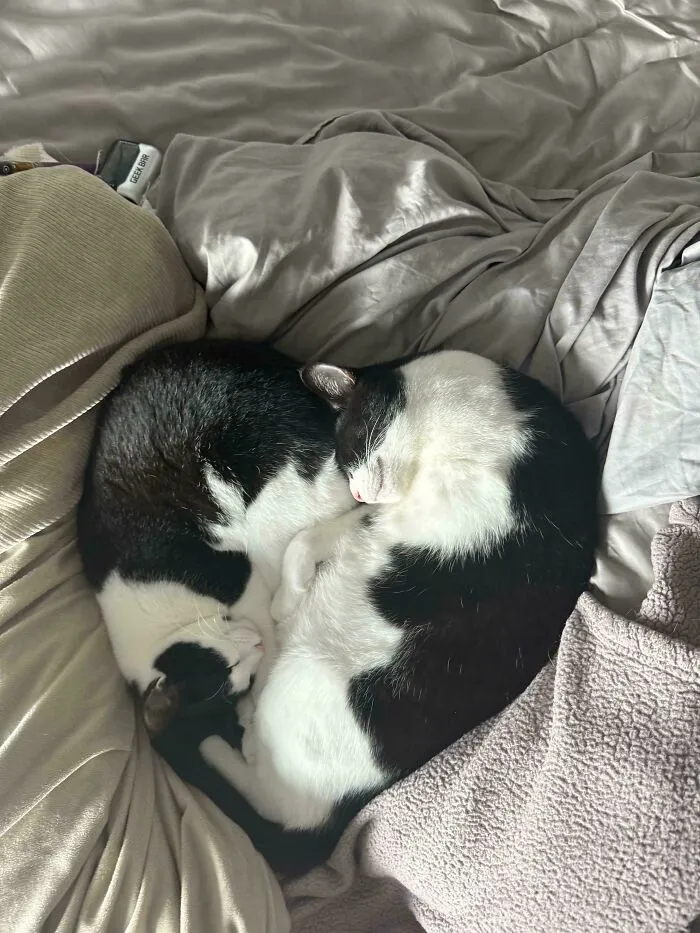 They Made A Heart