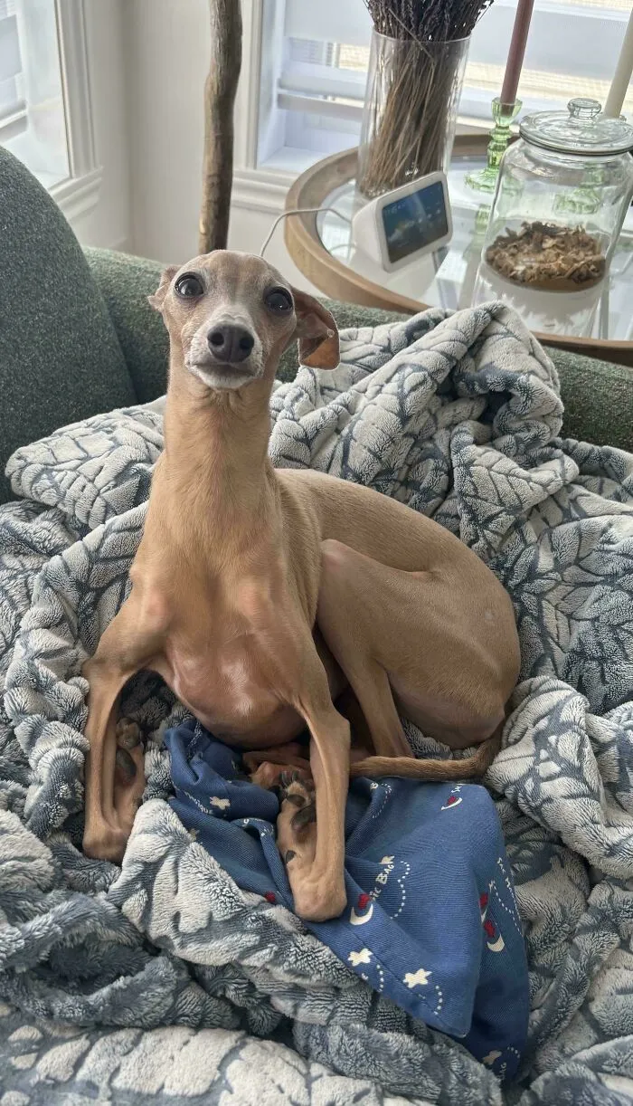 My Boy And His Long Legs