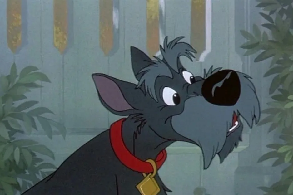 Animated gray dog with a red collar looking up, featured in a scene for the character odd one out C Jock quiz.