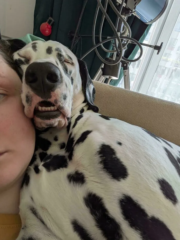 How My Velcro Dog Naps