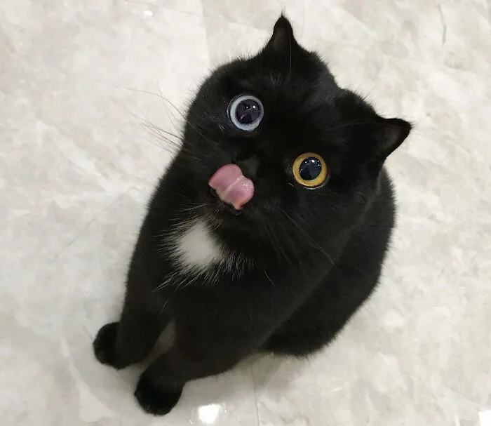Beautiful Eyes