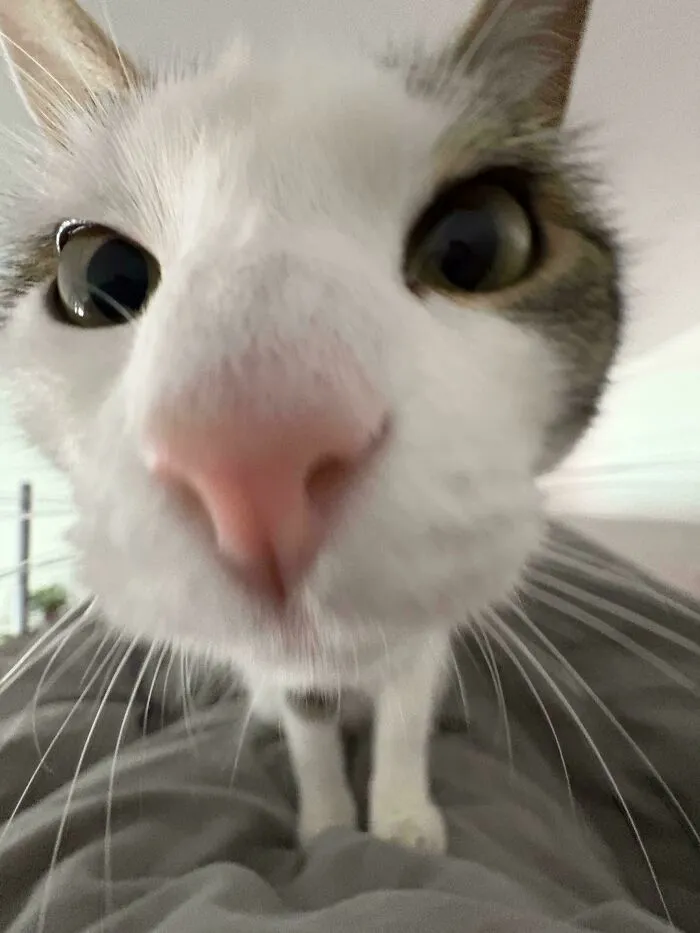 POV Of Jazz Waking Me Up