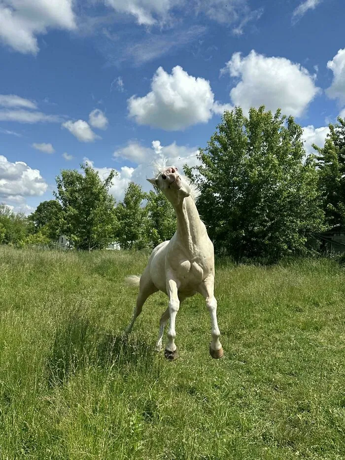Calypso Is Actually Beautiful.. She Just Likes Looking Like A Derp Whenever The Camera Comes Out