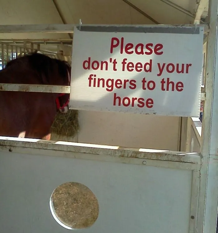 50 Funny One-Picture Stories For Anyone Who Needs To Laugh But Doesn’t Have Time To Read
