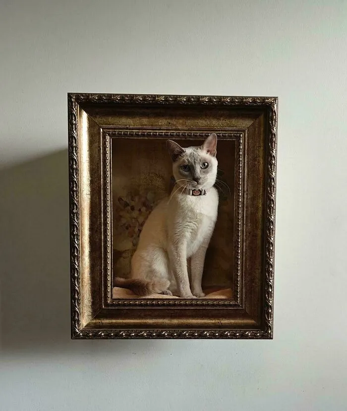 My Mother's Wall Mounted Cat Bed