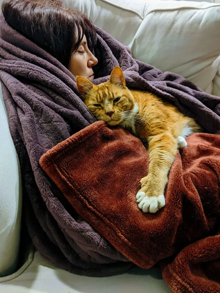 My Wife And Our Little Lion