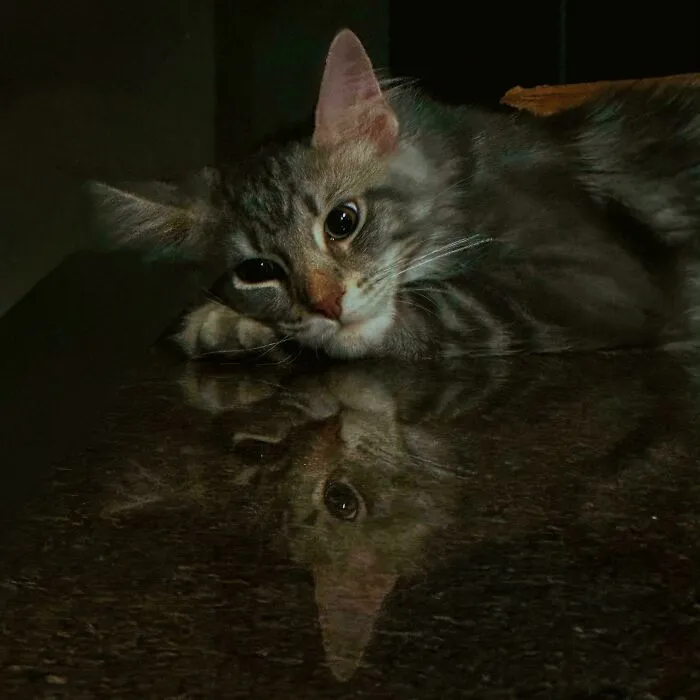 Melancholy