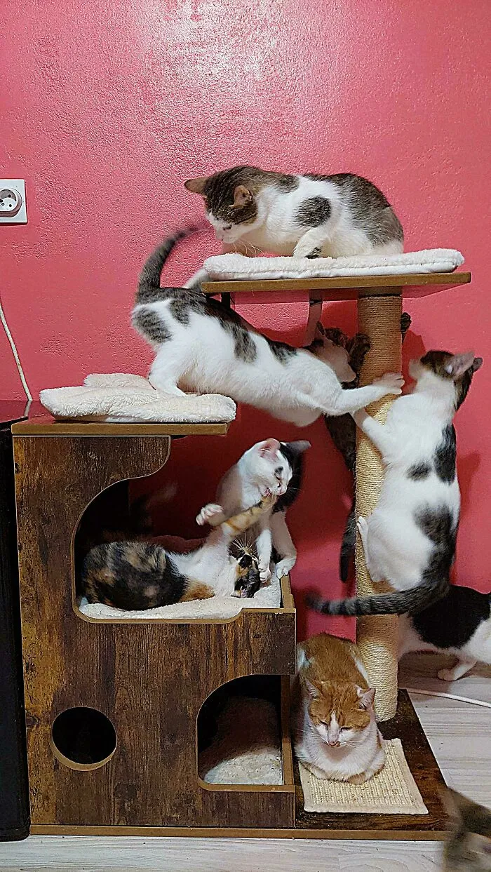 I Promise This Is Not Staged