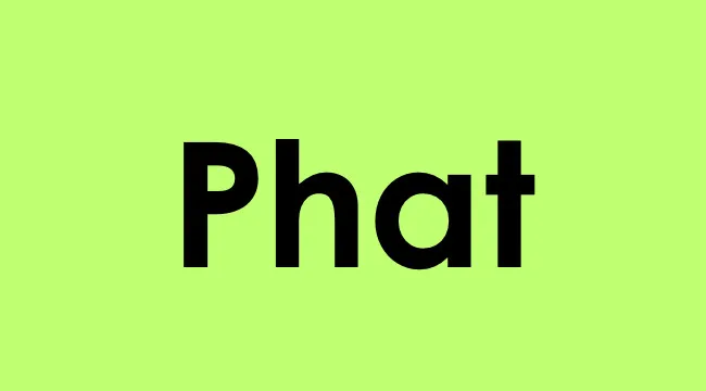 Phat slang term popular in early 2000s describing someone very stylish or trendy on a bright green background.