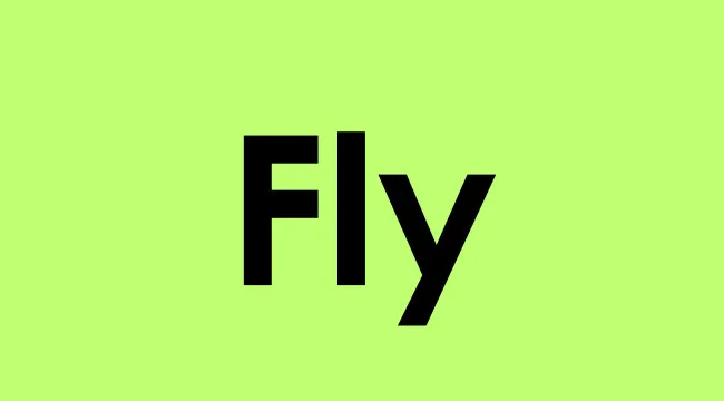The word Fly in bold black text on a bright green background representing stylish slang from the early 2000s.