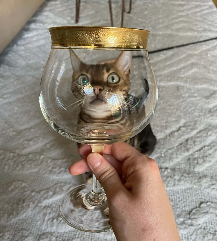 I Found This Beautiful Glass At The Thrift Store Today In Germany
