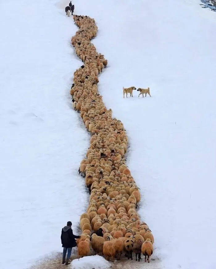 37 Fascinating Photos That Prove Timing Is Everything (New Pics)