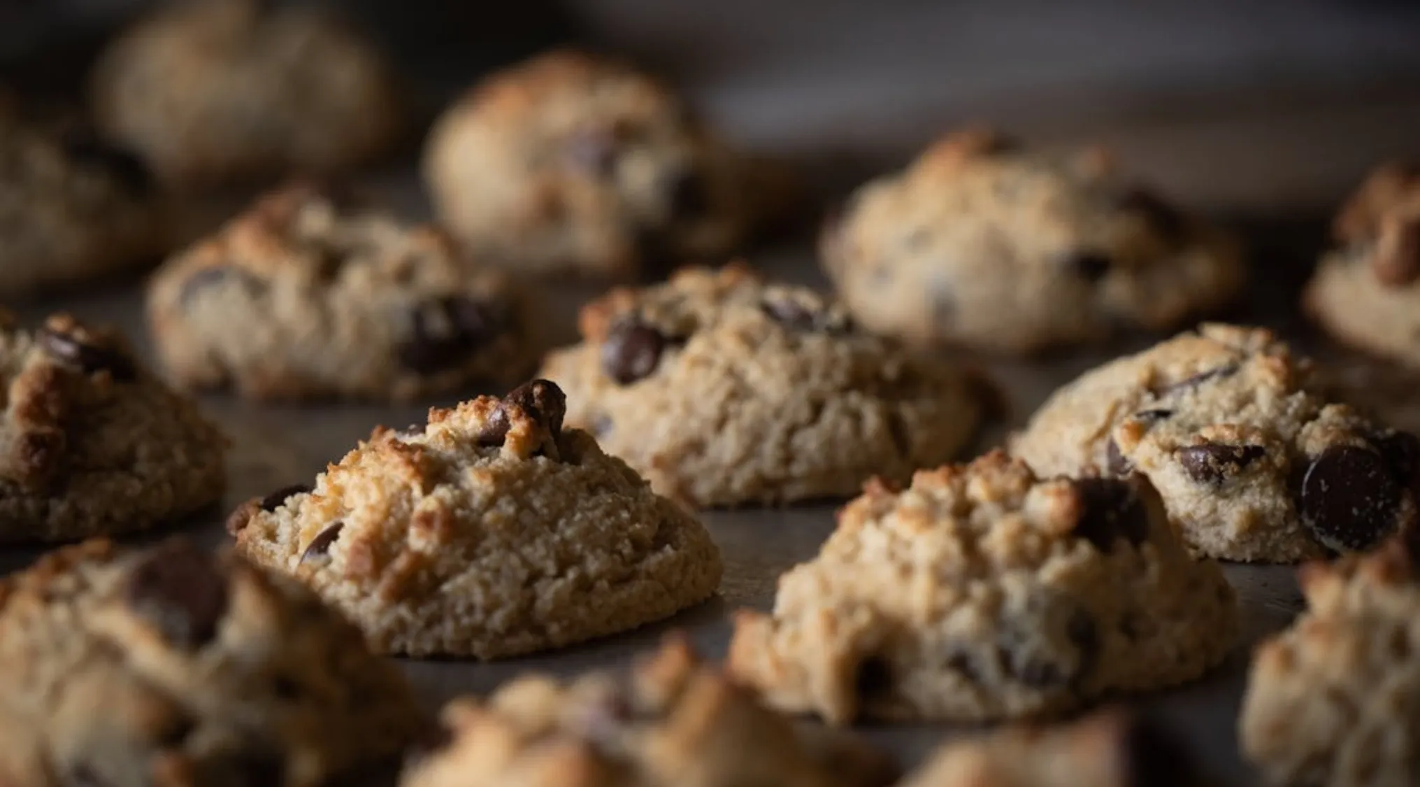 Freshly baked chocolate chip cookies cooling on a tray illustrating basic math skills counting boxes.
