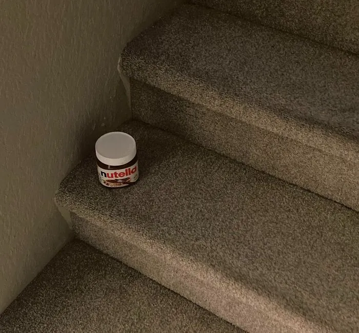 Mi hermano deja cualquier tentempie que se comera a medias por la noche en las escaleras en lugar de guardarlo en la despensa, todas las noches.
