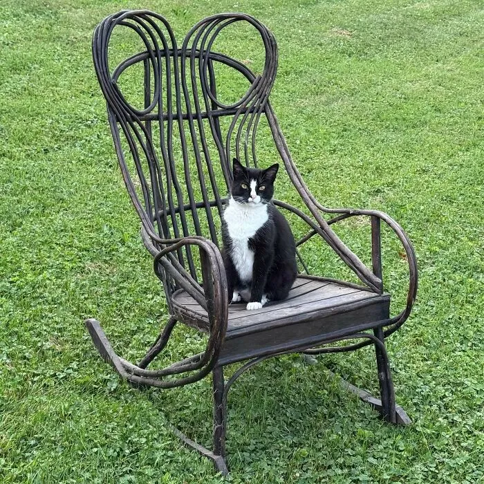 Bentwood Hickory Rocker Found In Western Pennsylvania USA Farmhouse Attic. I’m Thinking It’s Mid To Late 1800s