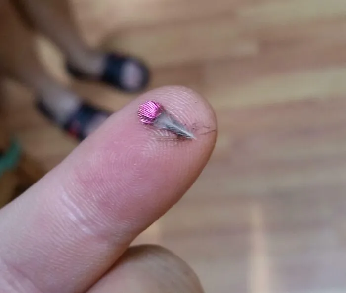 Hummingbird Feather! I Had Never Found One Before, Thought It Was Neat